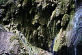 DSC09673 - Bernhard Saalfeld