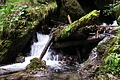 DSC09675 - Bernhard Saalfeld