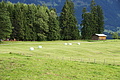 DSC09680 - Bernhard Saalfeld