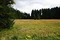 DSC09681 - Bernhard Saalfeld