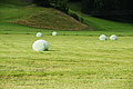 DSC09682 - Bernhard Saalfeld