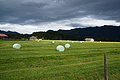 DSC09699 - Bernhard Saalfeld