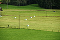 DSC09700 - Bernhard Saalfeld
