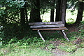 DSC09702 - Bernhard Saalfeld