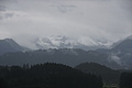 DSC09704 - Bernhard Saalfeld