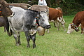 DSC03669 - Bernhard Saalfeld