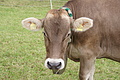 DSC03677 - Bernhard Saalfeld