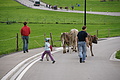 DSC03679 - Bernhard Saalfeld