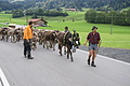 DSC03689 - Bernhard Saalfeld