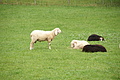 DSC03723 - Bernhard Saalfeld