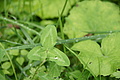 DSC03730 - Bernhard Saalfeld
