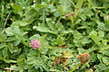 DSC03734 - Bernhard Saalfeld