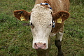 DSC03740 - Bernhard Saalfeld