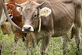 DSC03742 - Bernhard Saalfeld