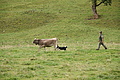DSC03750 - Bernhard Saalfeld
