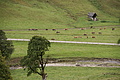 DSC03759 - Bernhard Saalfeld