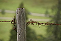 DSC03761 - Bernhard Saalfeld