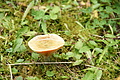 DSC03769 - Bernhard Saalfeld