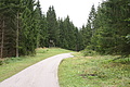 DSC03772 - Bernhard Saalfeld