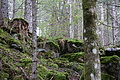 DSC03782 - Bernhard Saalfeld