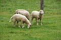 DSC03794 - Bernhard Saalfeld