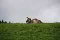 DSC03804 - Bernhard Saalfeld