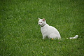DSC03805 - Bernhard Saalfeld