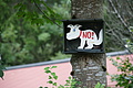 DSC03806 - Bernhard Saalfeld