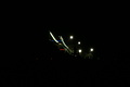 DSC03828 - Bernhard Saalfeld
