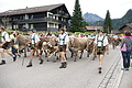 DSC03839 - Bernhard Saalfeld