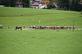 DSC03846 - Bernhard Saalfeld
