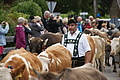 DSC03860 - Bernhard Saalfeld