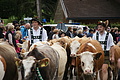 DSC03861 - Bernhard Saalfeld