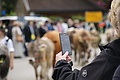 DSC03862 - Bernhard Saalfeld