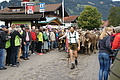 DSC03865 - Bernhard Saalfeld