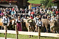DSC03875 - Bernhard Saalfeld