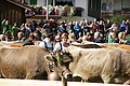 DSC03877 - Bernhard Saalfeld