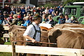 DSC03878 - Bernhard Saalfeld