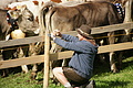 DSC03882 - Bernhard Saalfeld