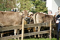 DSC03885 - Bernhard Saalfeld