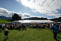 DSC03901 - Bernhard Saalfeld
