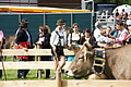 DSC03902 - Bernhard Saalfeld