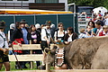 DSC03903 - Bernhard Saalfeld