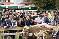 DSC03906 - Bernhard Saalfeld