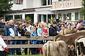 DSC03907 - Bernhard Saalfeld