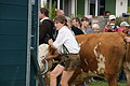 DSC03909 - Bernhard Saalfeld