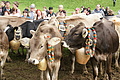DSC03916 - Bernhard Saalfeld