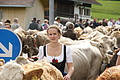 DSC03951 - Bernhard Saalfeld