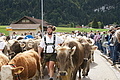 DSC03952 - Bernhard Saalfeld