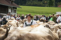 DSC03955 - Bernhard Saalfeld